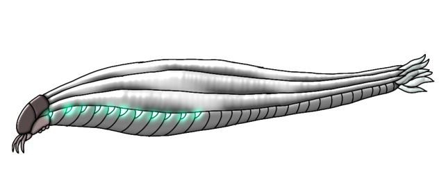 Silickworm glows2