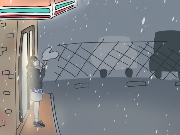 夜の舞雪