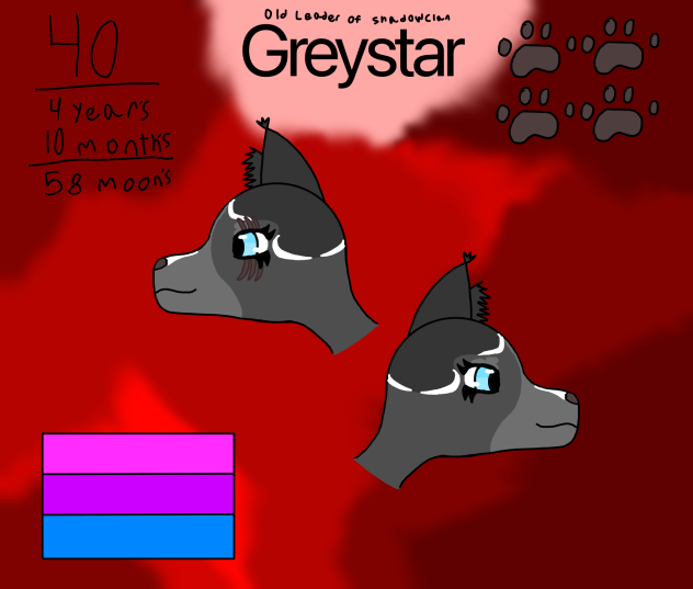 Greystar concept