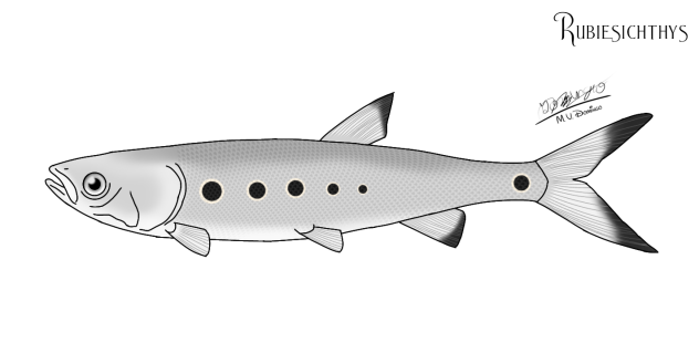 Rubiesichthys
