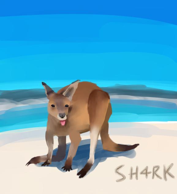 🌊🐚kangaroo at the beach☀️🦘