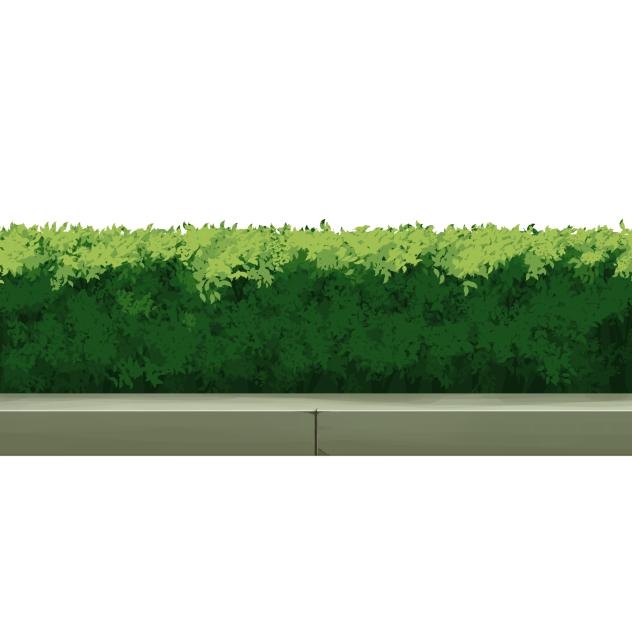 Hedge A