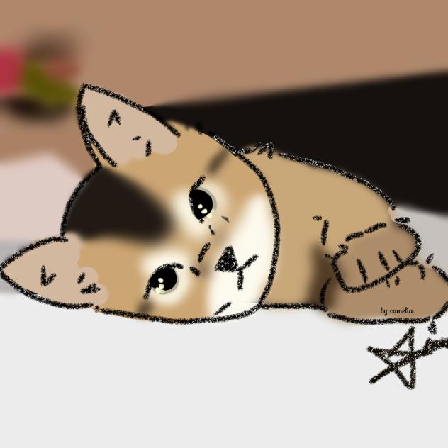 kitten 2 - ibisPaint