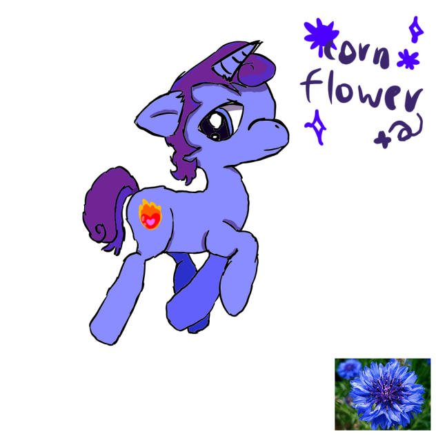 Corn flower
