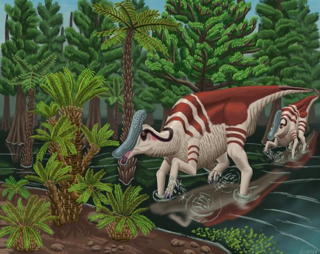 Velafrons Coahuilensis in a Swamp