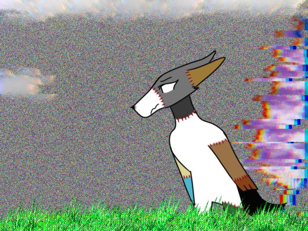 That’s one of a glitch