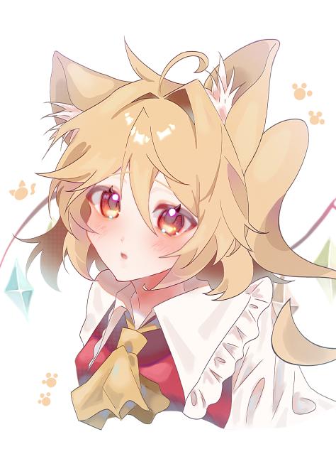 にゃんこフラン🍮