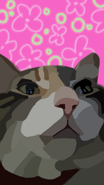 why am I doing this to my cat