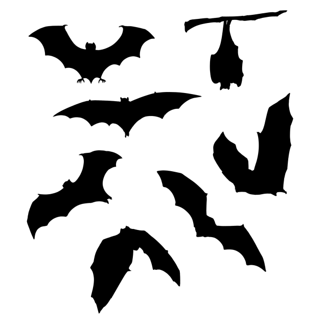 Bat Silhouettes