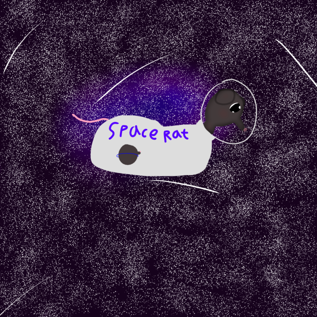 SpAcE rAt 🐀