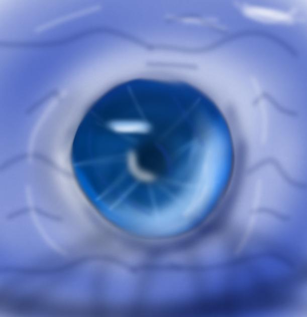 The real eye of the ocean👁🌍