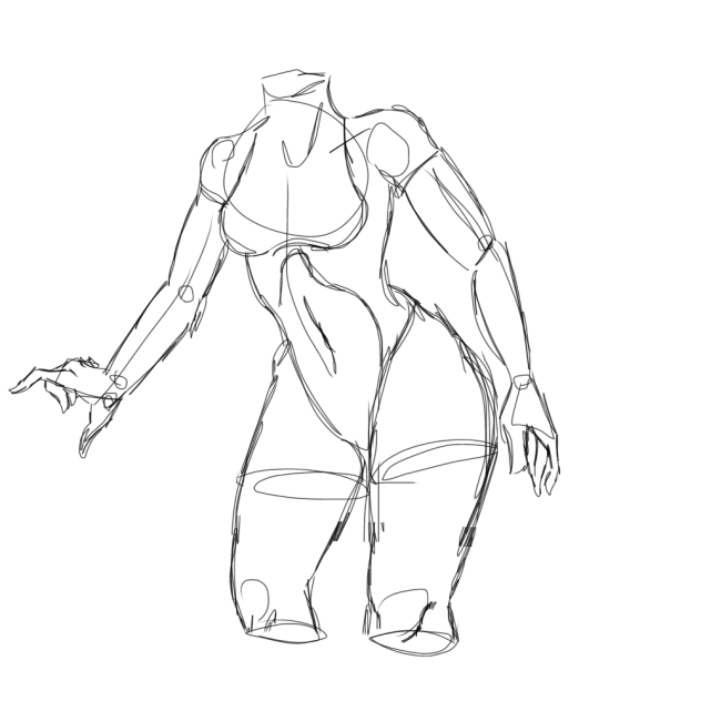 Female anatomy base