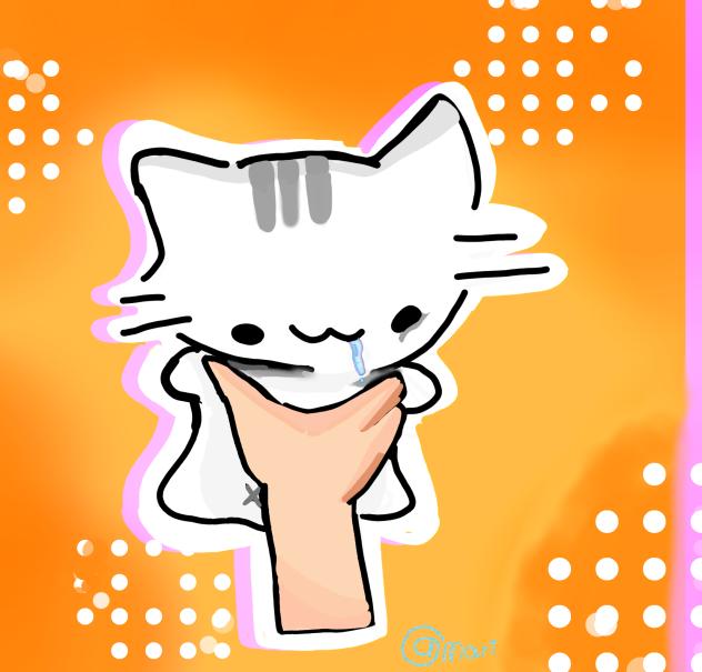 kitty✨️