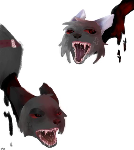 ‼️ PITBULL TERRIER!! ‼️