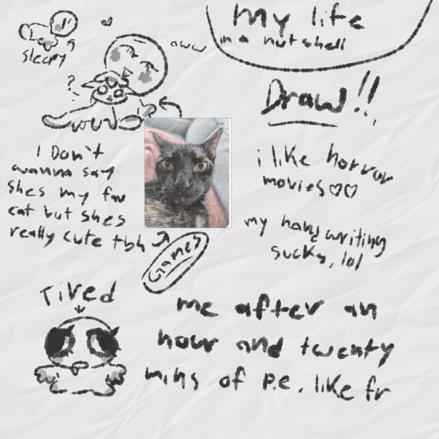 my life in a nutshell