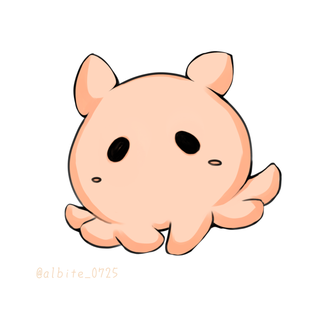 メンダコ🐙➀