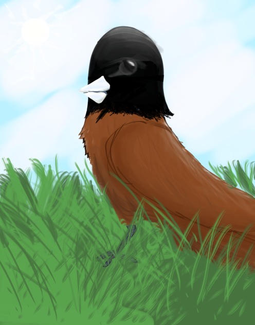 Chestnut Munia 🌰 🐦