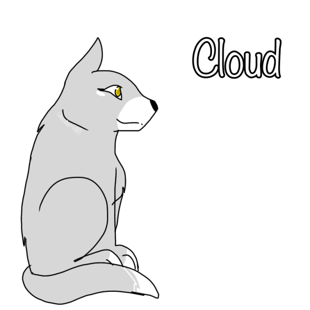 Random wolf I drew