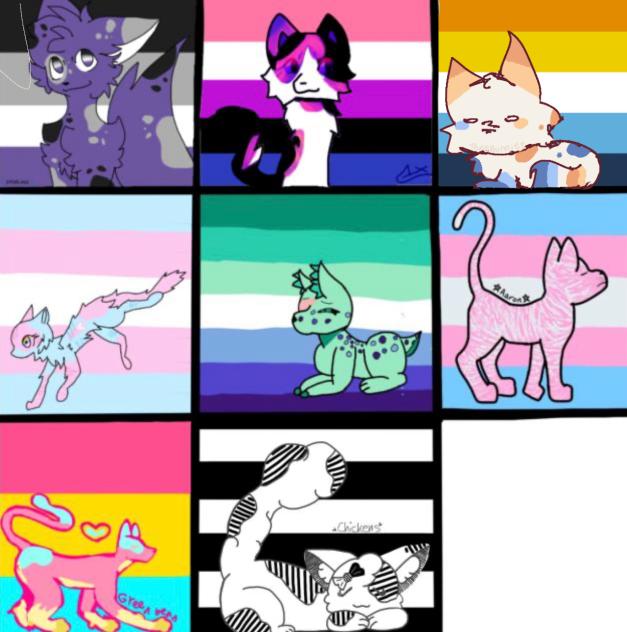 Pride cat collab