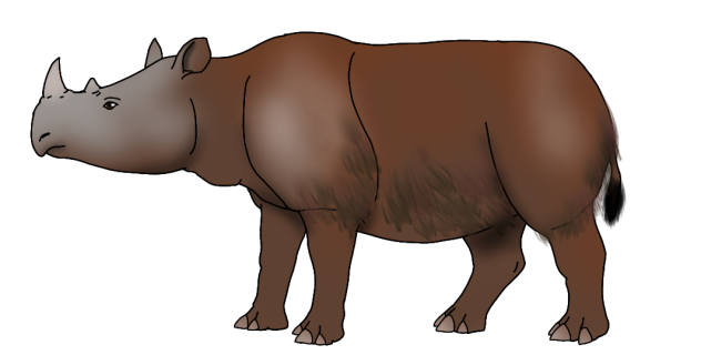 Sumatran Rhinoceros render