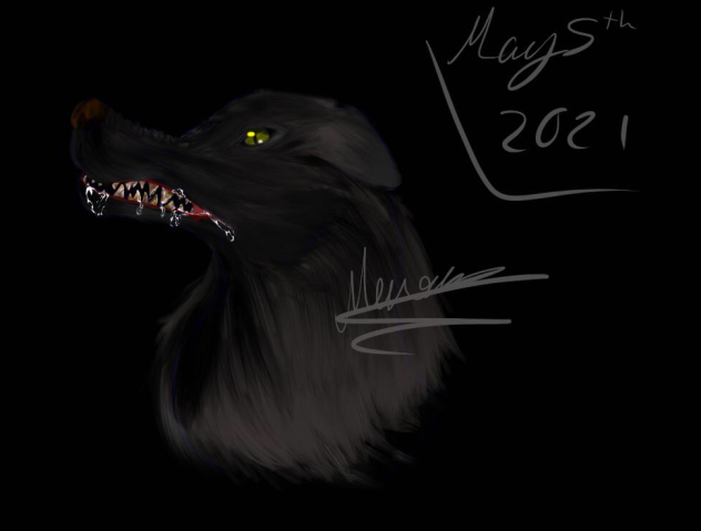 Wolf Snarling