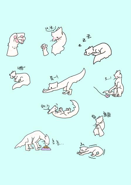 흰냥