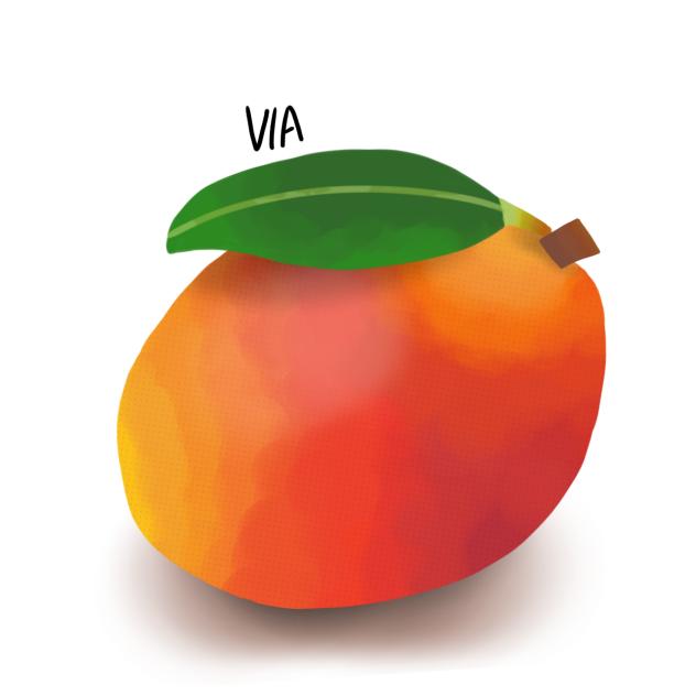 mango