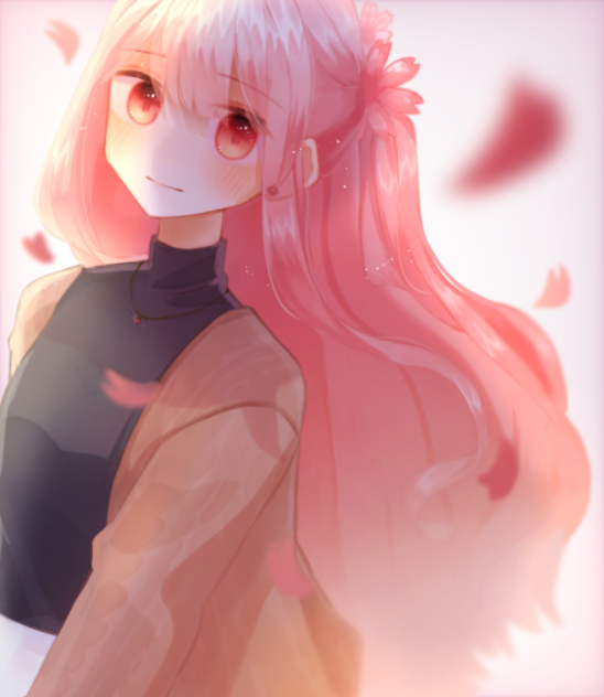 秋桜
