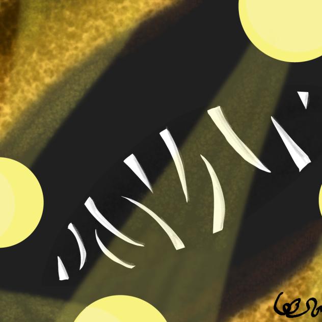 vultus lumina - searchlights