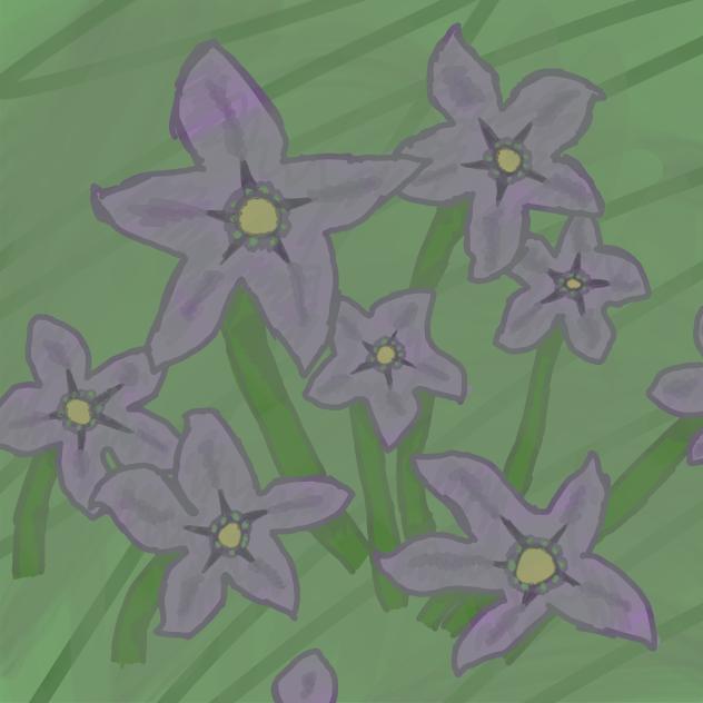 Nightshade~