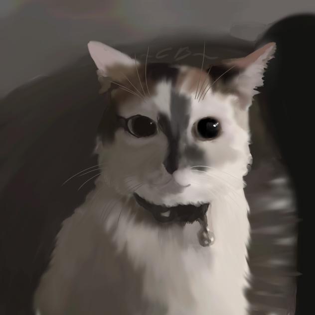 Cookie cat