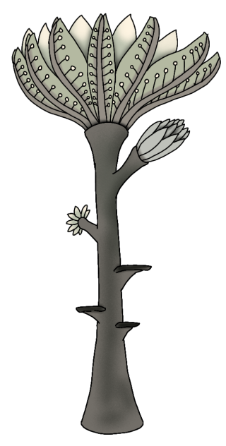 Living Sea Lily render