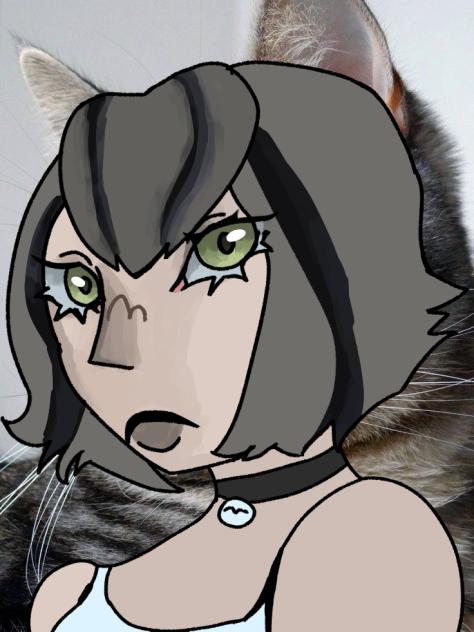 cat face drawing