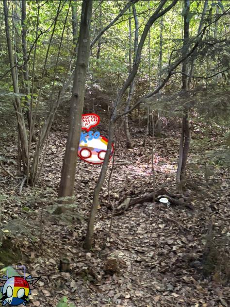 Hide n seek collab