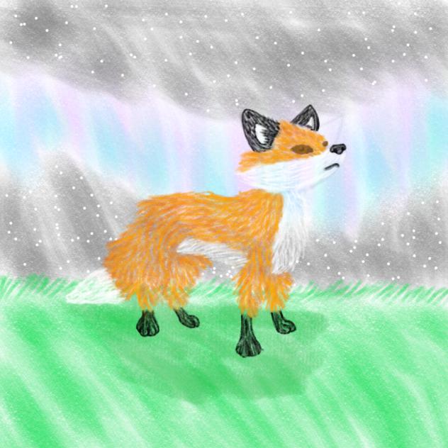 Fox - ibisPaint