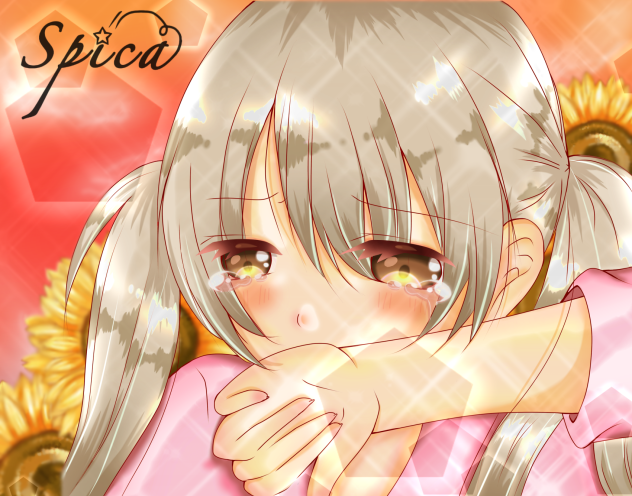 夏の夕陽に染まる君