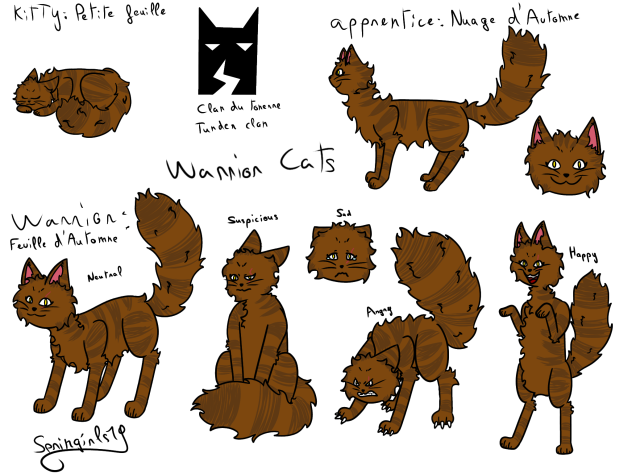 Warrior cats oc