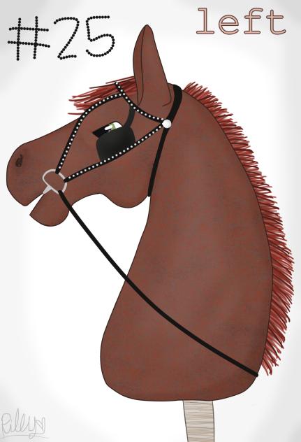 hobby horse tack #25