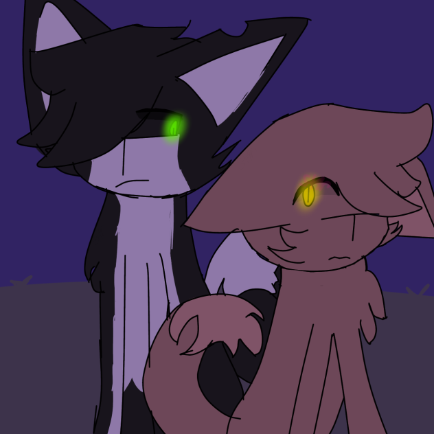 House cat meets stray