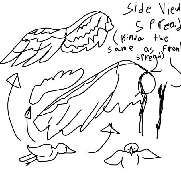 Wing ref 2