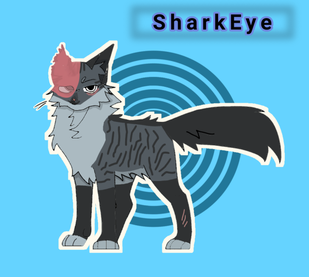 SharkEye (Warrior cats oc)