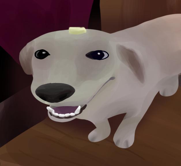 butter dog 🧈🧈