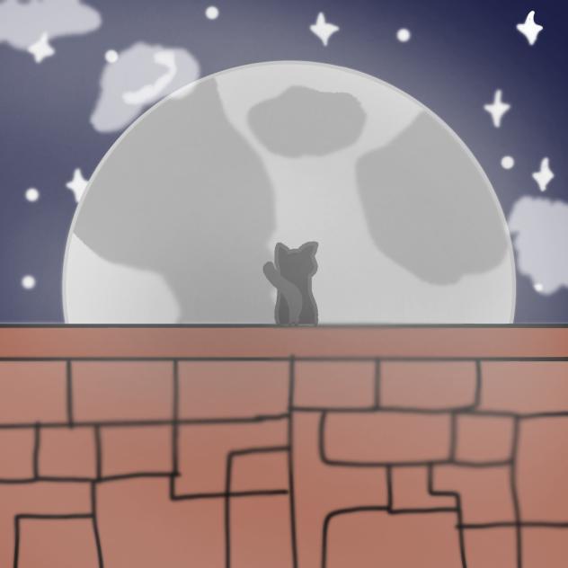 Meowing in the moon XD