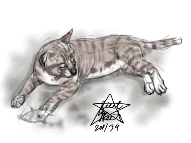 猫２