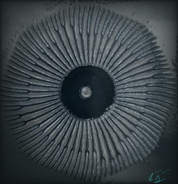 eyeball - ibisPaint