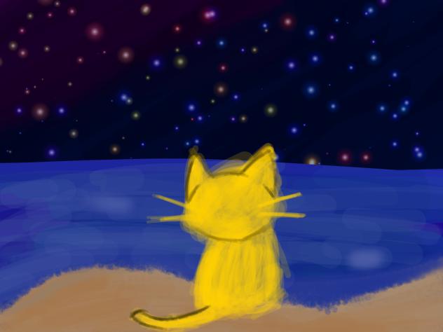 黄色い猫