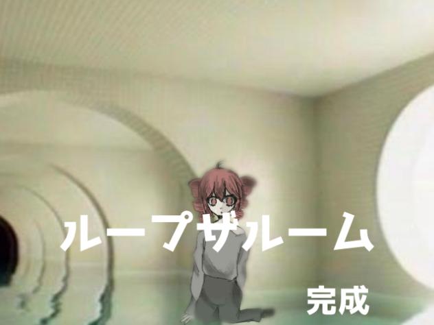 ループザルーム　完成