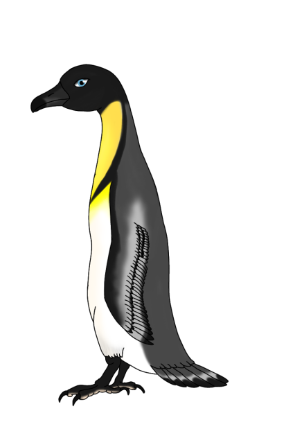 Duchy Pengull
