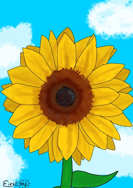 sunflower bc its sunny