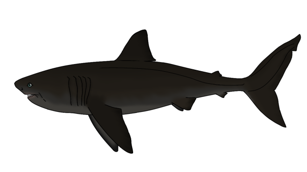 Black Demon Shark2